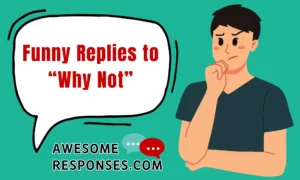 Funny Replies to “Why Not”