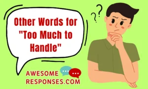 Other Words for "Too Much to Handle"