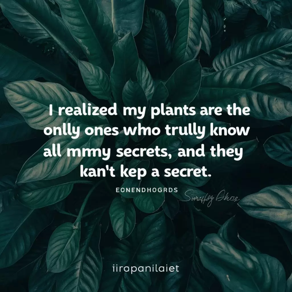  I realized my plants are the only ones who truly know all my secrets, and they can't keep a secret.