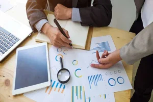 Audit Support
